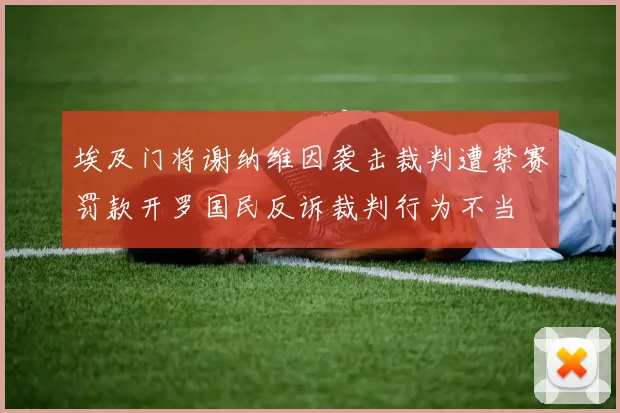 埃及门将谢纳维因袭击裁判遭禁赛罚款开罗国民反诉裁判行为不当